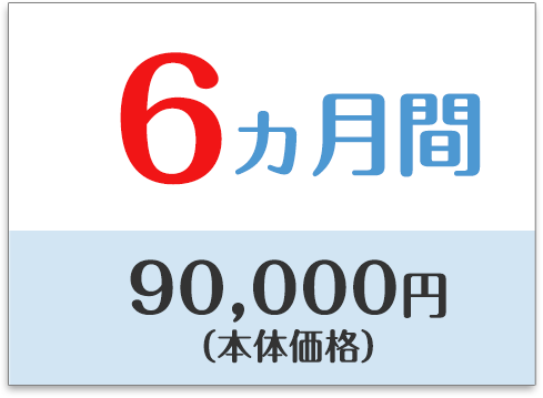 6ヶ月　85,200円（本体価格）